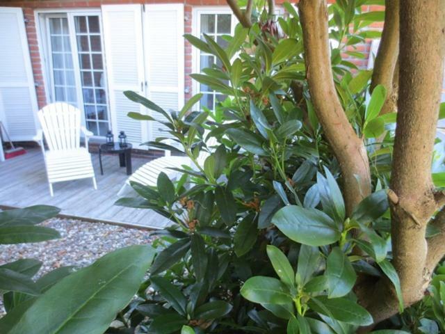 Luft und Meer 4**** Ferienwohnung Hage Exterior foto
